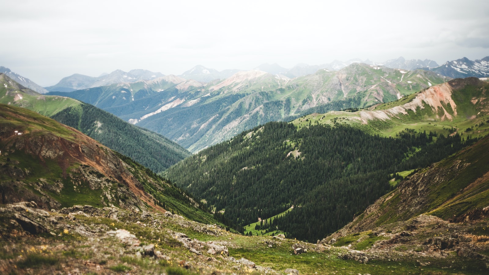 Alpine Almanac: Navigating Peaks with Climbing Wisdom – zarizonahikersguide.com-Passion, Skill 